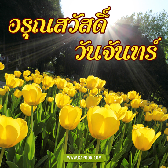 ดูดวง 16 พฤศจิกายน 2558