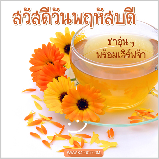 ดูดวง 17 กันยายน 2558