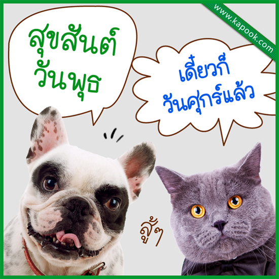 ดูดวง 19 สิงหาคม 2558