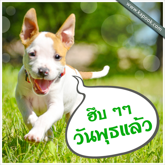 ดูดวง 2 กันยายน 2558