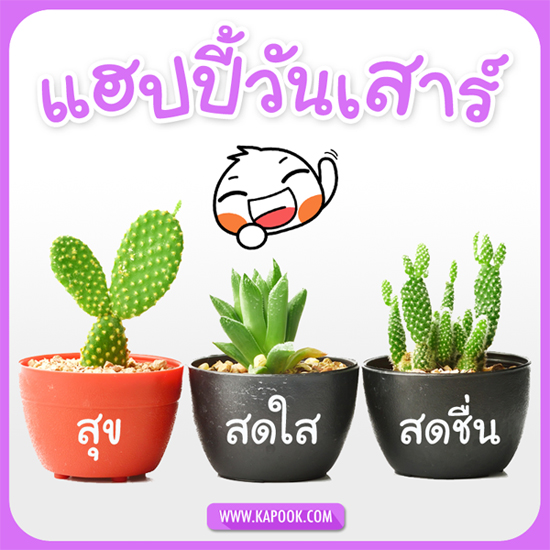 ดูดวง 24 ตุลาคม 2558