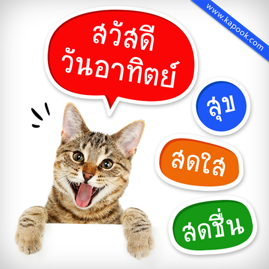 ดูดวง 6 กันยายน 2558