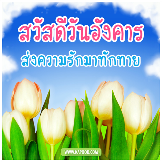 ดูดวง 8 กันยายน 2558