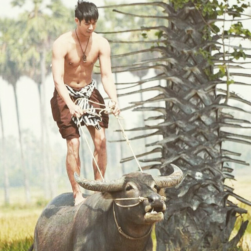 เวียร์ ศุกลวัฒน์