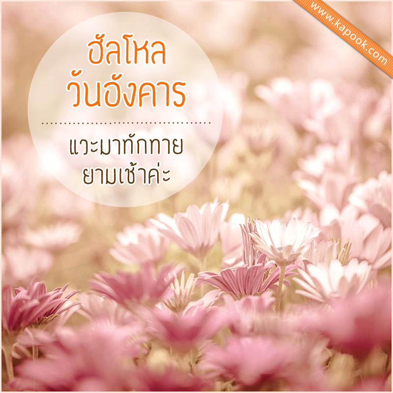 ดวงรายวัน วันที่ 26 พฤษภาคม 2558