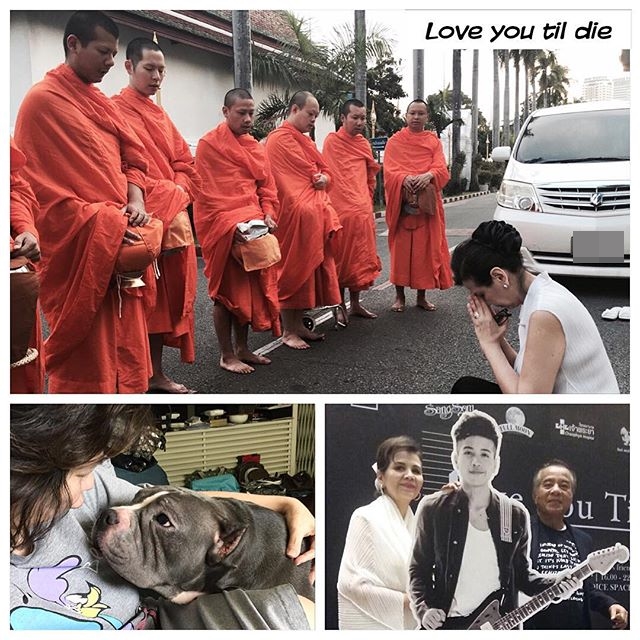 สิงห์ Sqweez Animal