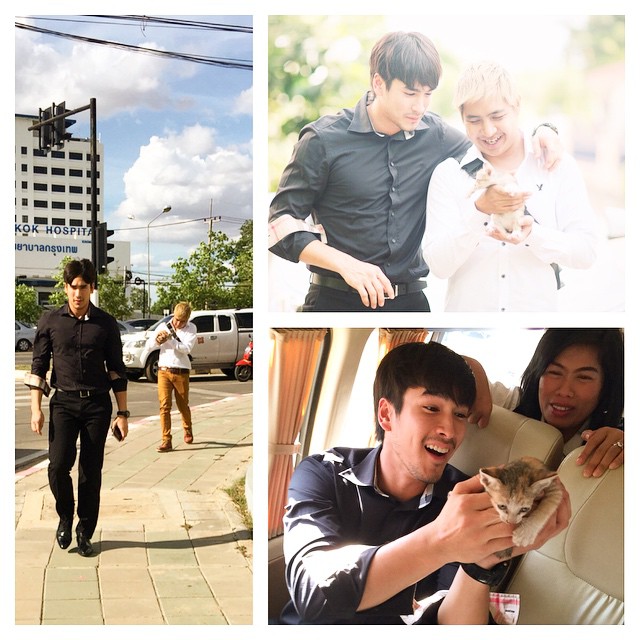 ณเดชน์ คูกิมิยะ พ่อพระใจบุญ จอดรถช่วยลูกแมวน้อยกลางถนน