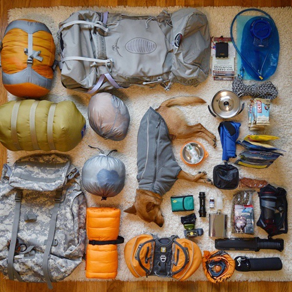 10 ภาพเมื่อมีหมาเป็นเพื่อนเดินทาง มันเลยดีแบบนี้นี่เอง