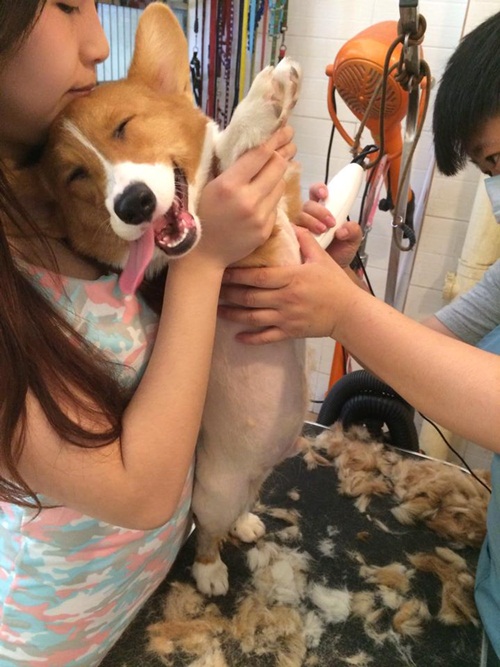 หมายิ้ม 10 ภาพตูบอารมณ์ดี โชว์ยิ้มสวยจนคนยังต้องอาย 