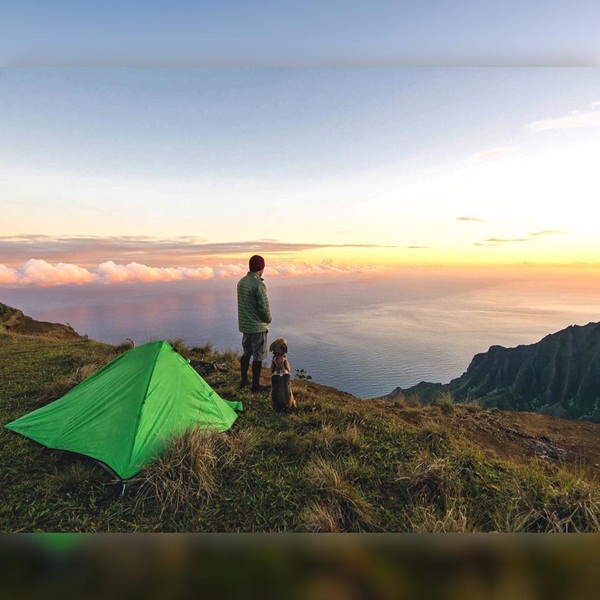 10 ภาพเมื่อมีหมาเป็นเพื่อนเดินทาง มันเลยดีแบบนี้นี่เอง