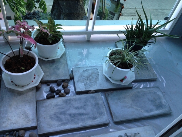 จัดสวนหย่อมบนระเบียงคอนโด จากที่ตากผ้าสู่สวนน่ารักในร่ม ! 