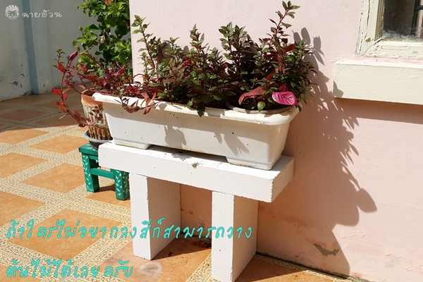 DIY ฐานวางต้นไม้จากอิฐมวลเบา ไอเดียจัดสวนเล็ก ๆ ในที่แคบ