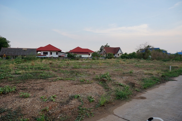 ปลูกบ้านชั้นเดียวยกสูง สไตล์บ้านไทยประยุกต์ 