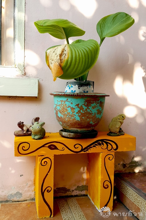 DIY ฐานวางต้นไม้จากอิฐมวลเบา ไอเดียจัดสวนเล็ก ๆ ในที่แคบ