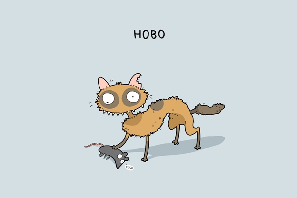 ภาพการ์ตูนแมว ชนชั้นแมว