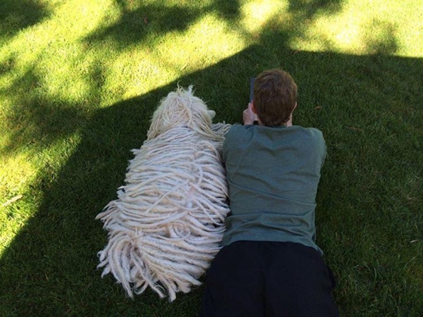 เปิดมุมน่ารักของ มาร์ค ซัคเคอร์เบิร์กกับมะหมาคู่ใจในวันครบรอบ 5 ปี