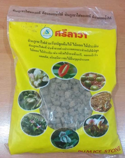 วิธีทำสวนขวดแก้วฉบับมือใหม่ จัดอย่างไรให้เป๊ะตั้งแต่ครั้งแรก