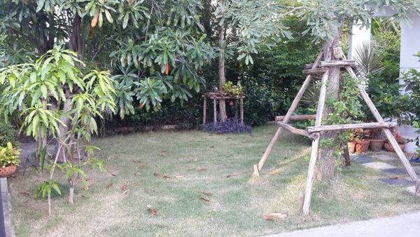 จัดไฟในสวนรอบบ้าน 