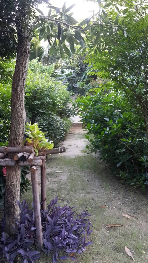 จัดไฟในสวนรอบบ้าน 