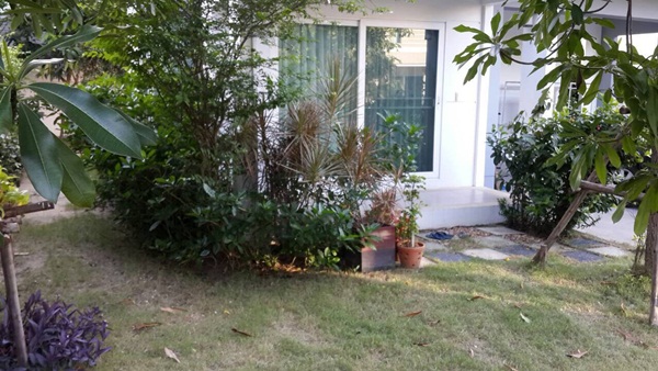 จัดไฟในสวนรอบบ้าน 