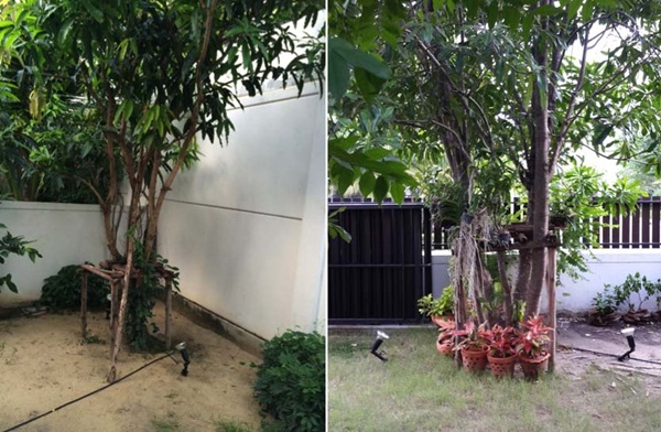 จัดไฟในสวนรอบบ้าน 