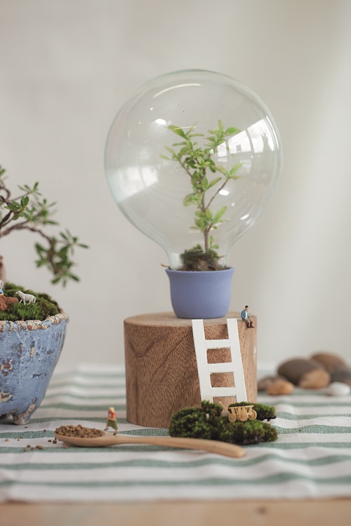 DIY จัดแต่งบอนไซจิ๋วลงกระถาง เพิ่มสีเขียวในบ้านด้วยสวนเล็ก ๆ 
