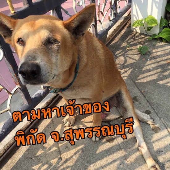 อั้ม พัชราภา 