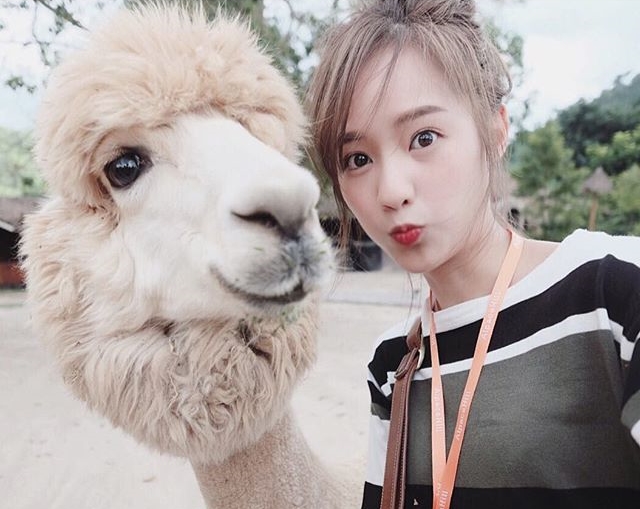  พิมฐา เน็ตไอดอล