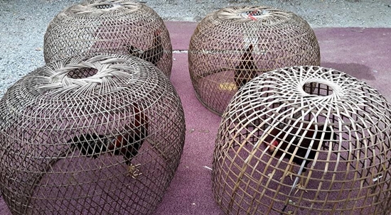  น้ำ รพีภัทร 