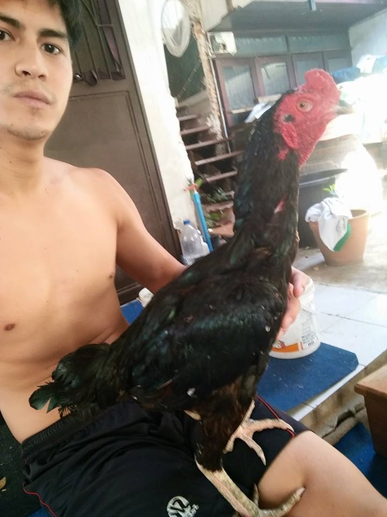  น้ำ รพีภัทร 