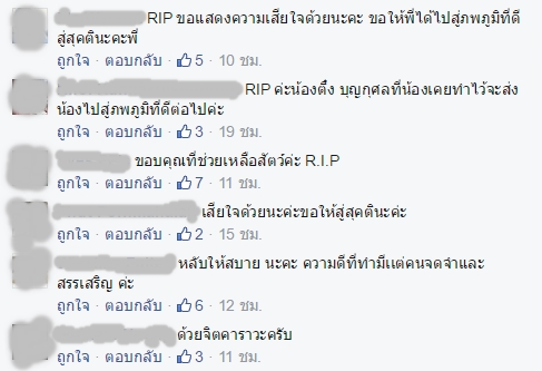 ไว้อาลัยตึ๋ง อัศจรรย์จักรวาล