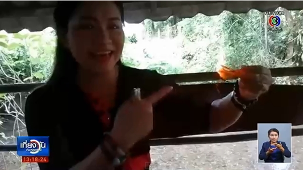 ปลาเส้นชายแดนแม่สาย