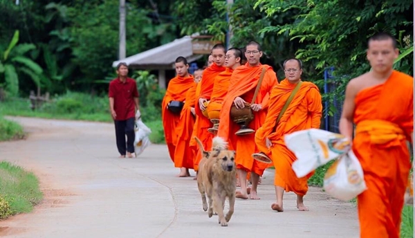 พระวู้ดดี้