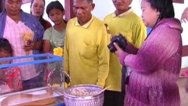 ปลาไหลสีทอง