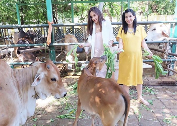 เปิ้ล ภารดี