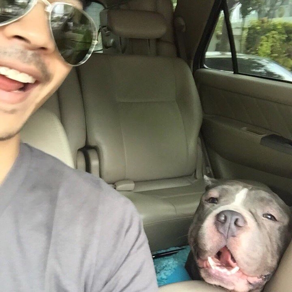 ตุ้งแช่ สุนัขของ สิงห์ Sqweez Animal