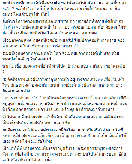 ให้อาหารปลาใต้น้ำ
