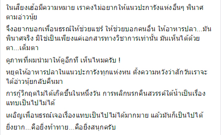 ให้อาหารปลาใต้น้ำ
