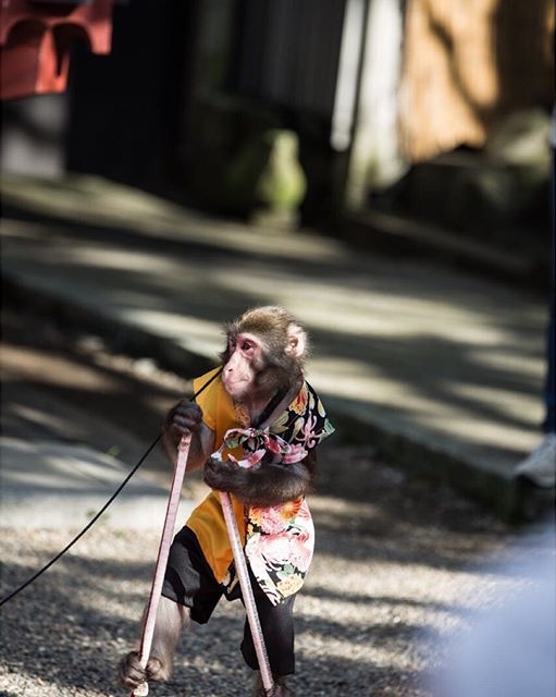 ภาพถ่าย IG ดารา