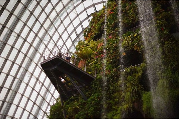 ภาพถ่าย IG ดารา