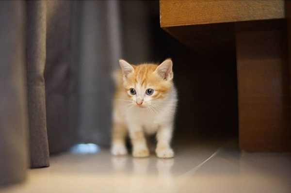 ภาพถ่าย IG ดารา