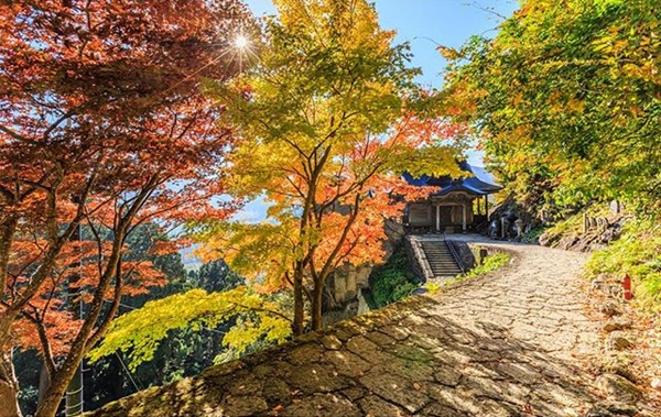 ภาพถ่าย IG ดารา