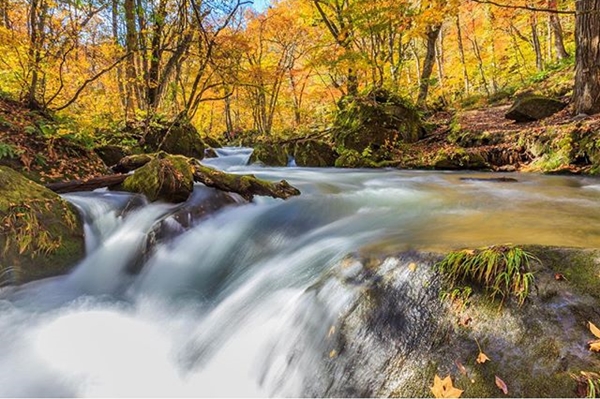 ภาพถ่าย IG ดารา