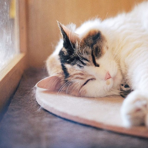 ภาพถ่าย IG ดารา