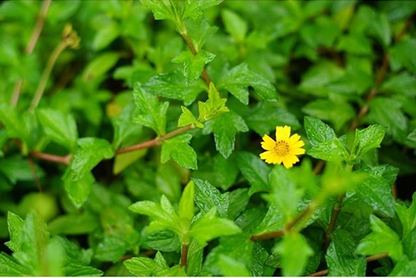 ภาพถ่าย IG ดารา