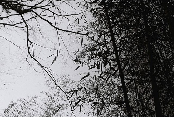 ภาพถ่าย IG ดารา