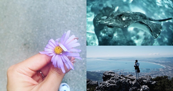 ภาพถ่าย IG ดารา