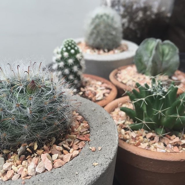 ภาพถ่าย IG ดารา