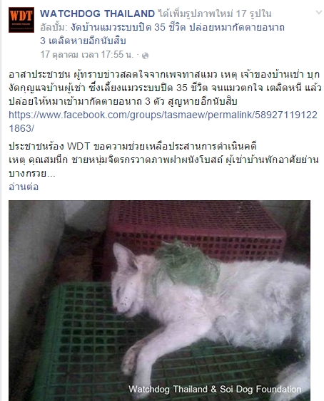 เจ้าของบ้านเช่างัดห้องปล่อยหมาขย้ำแมวตาย