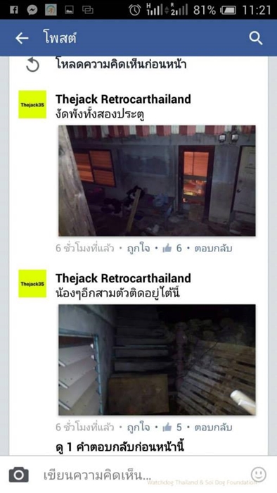 เจ้าของบ้านเช่างัดห้องปล่อยหมาขย้ำแมวตาย